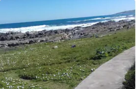 Self Catering Unit 7, Sandbaai Hermanus Bagian luar foto