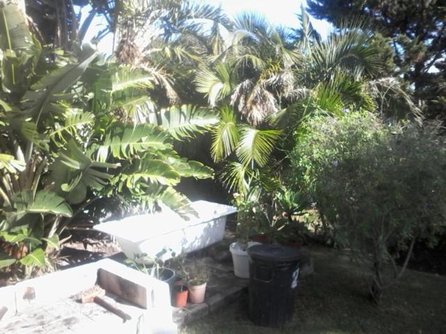 Self Catering Unit 7, Sandbaai Hermanus Bagian luar foto