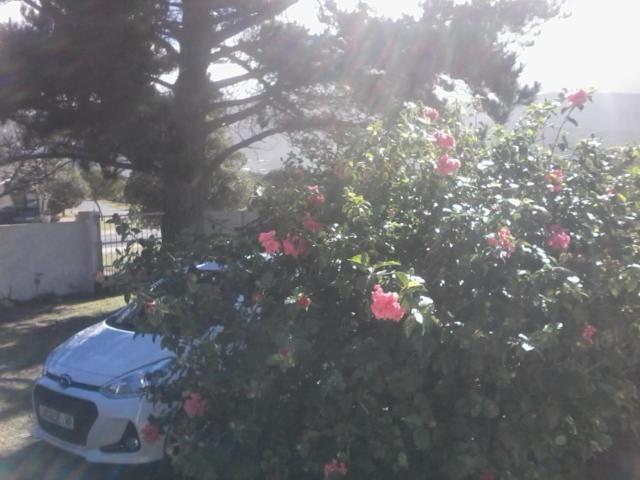 Self Catering Unit 7, Sandbaai Hermanus Bagian luar foto