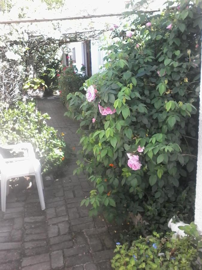 Self Catering Unit 7, Sandbaai Hermanus Bagian luar foto