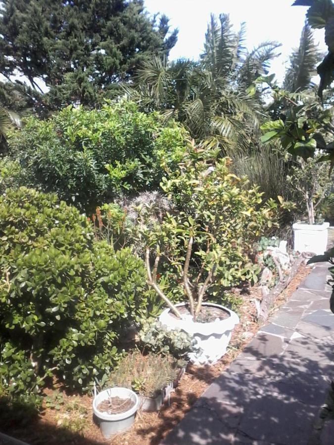 Self Catering Unit 7, Sandbaai Hermanus Bagian luar foto
