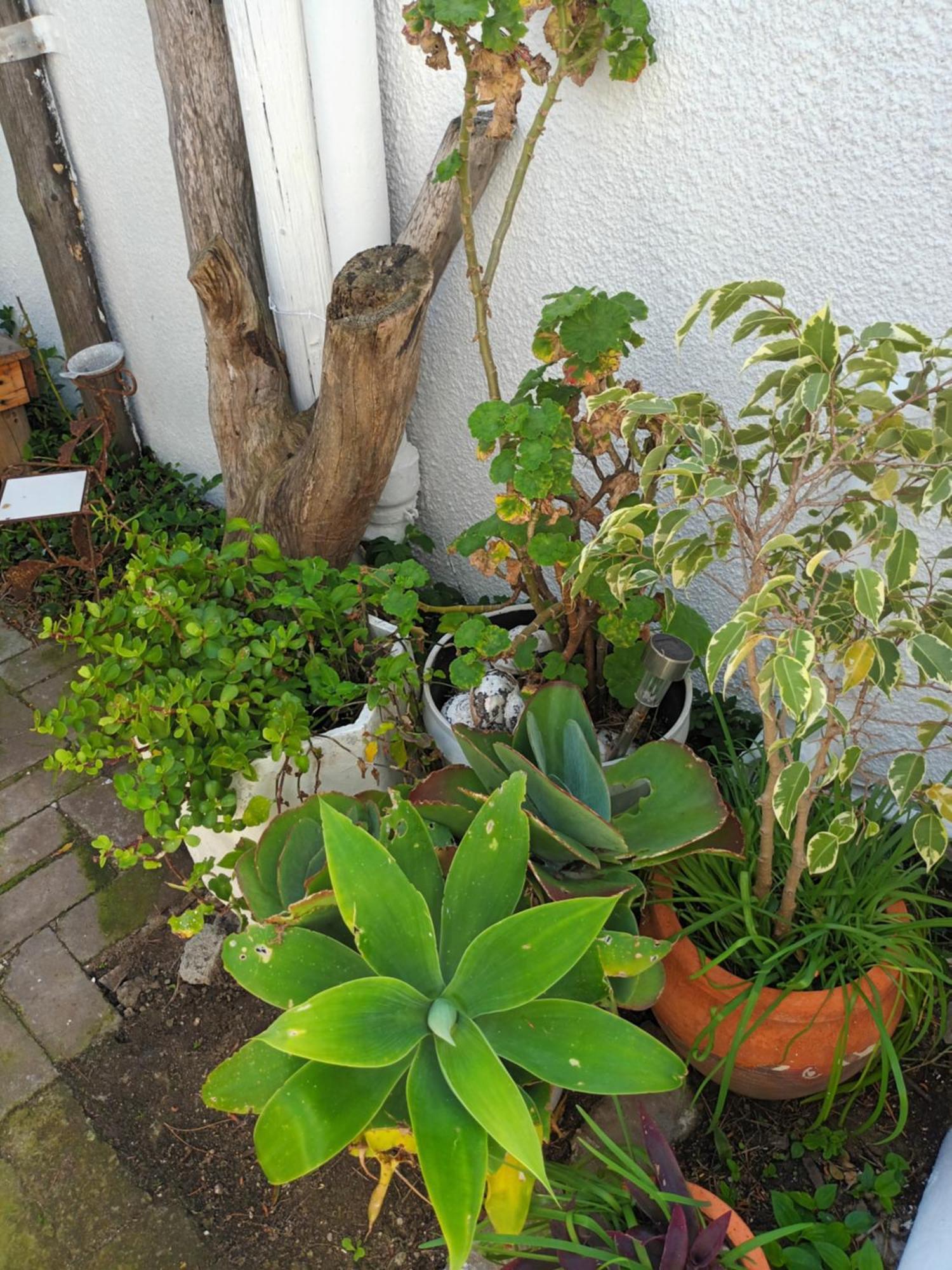 Self Catering Unit 7, Sandbaai Hermanus Ruang foto